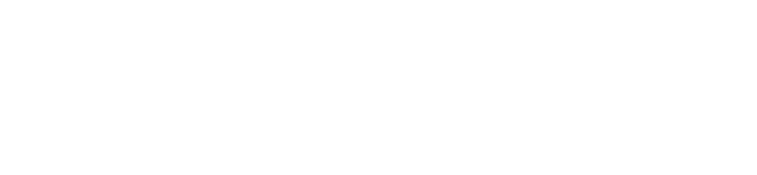Synergy Care